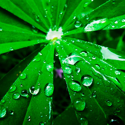 手机版ddos攻击器