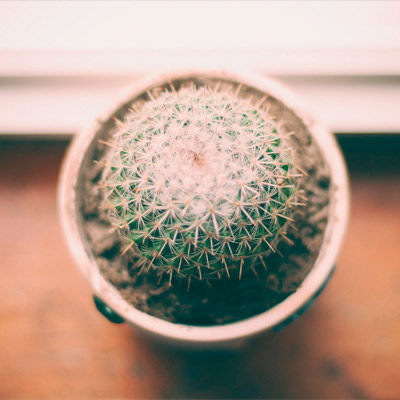 引爆市场格局的ddos攻击在哪能买到