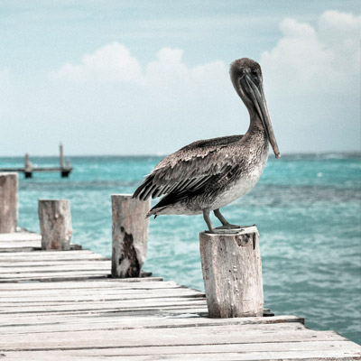 免费ddos压力测试平台