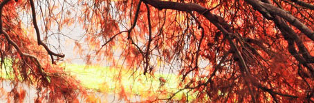 【免root】便捷的ddos工具下载