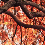 免费cc攻击测试