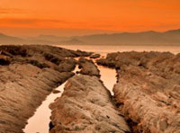 自动攻击网站工具下载