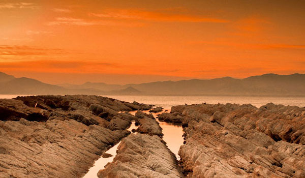 自动攻击网站工具下载